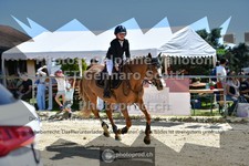 ref. photo 3604071