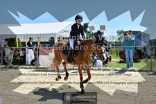 ref. photo 3604072
