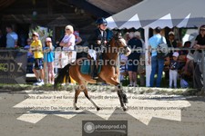 ref. photo 3604074