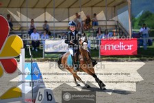 ref. photo 3604076