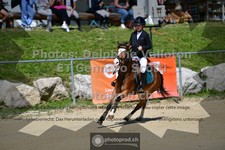 ref. photo 3604078