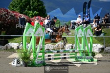 ref. photo 3604079
