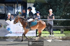 ref. photo 3604082