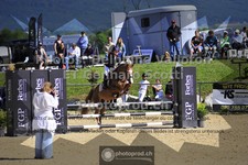 ref. photo 3604084