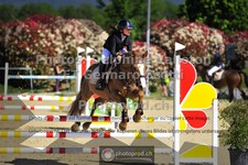 ref. photo 3604087