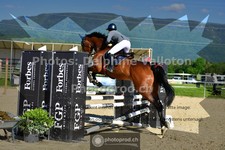 ref. photo 3604098