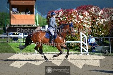 ref. photo 3604104