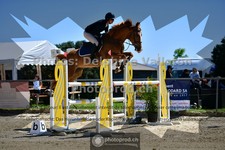 ref. photo 3604118