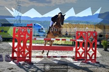 ref. photo 3604134