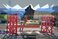 ref. photo 3604160