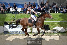 ref. photo 3604171