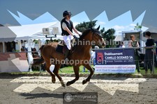 ref. photo 3604175