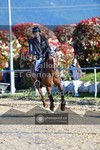 ref. photo 3604186