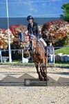 ref. photo 3604187