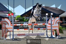 ref. photo 3604195