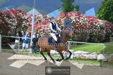 ref. photo 3604214