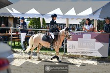 ref. photo 3604215