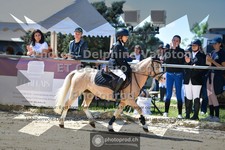 ref. photo 3604216