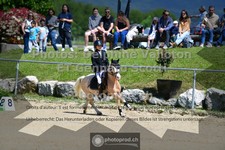 ref. photo 3604225
