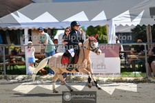 ref. photo 3604237