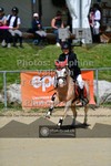 ref. photo 3604240