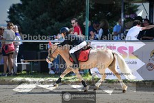 ref. photo 3604247