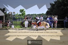ref. photo 3604249