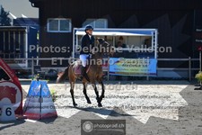 ref. photo 3604251