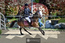 ref. photo 3604254