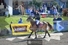 ref. photo 3604256