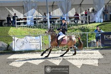 ref. photo 3604258