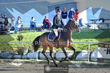 ref. photo 3604310