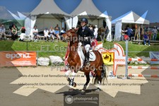 ref. photo 3604324