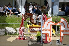 ref. photo 3604327