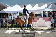 ref. photo 3604332