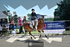 ref. photo 3604333