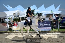 ref. photo 3604347