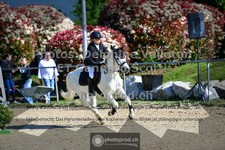 ref. photo 3604359
