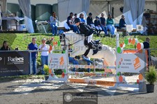 ref. photo 3604362