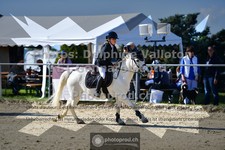 ref. photo 3604366