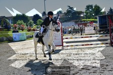 ref. photo 3604371