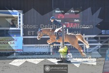 ref. photo 3604381