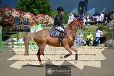 ref. photo 3604393