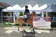 ref. photo 3604395