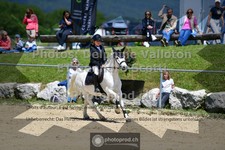 ref. photo 3604401
