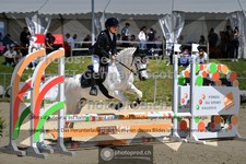 ref. photo 3604403