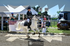 ref. photo 3604408