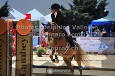 ref. photo 3604413
