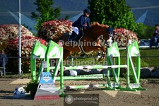 ref. photo 3604520