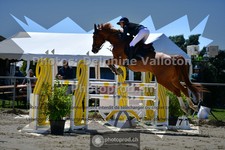 ref. photo 3604528